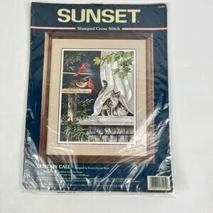 Sunset Stamped Cross Stitch Kit Curtain Call 13105 Cat Birds 11x14 Vintage New
